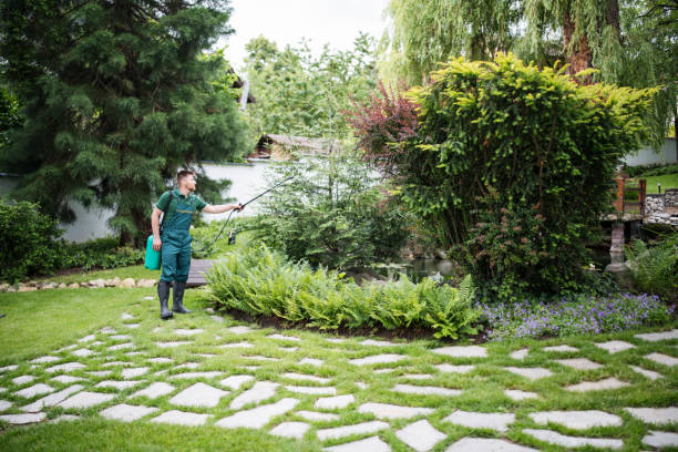 Best Pest Control for Restaurants  in Big Pine, CA