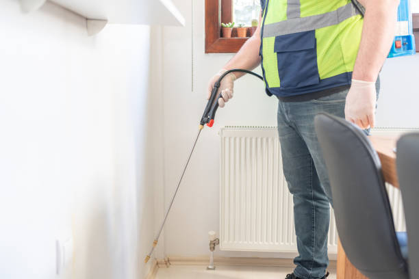 Best Local Pest Control Services  in Big Pine, CA