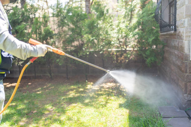 Best Wildlife Control Services  in Big Pine, CA