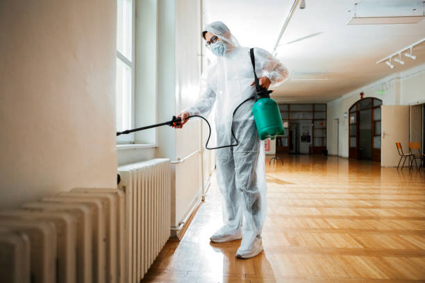 Best Pest Control Near Me  in Big Pine, CA